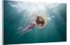 Mauve Stinger Jellyfish (Pelagia noctiluca), Cap de Creus, Costa Brava, Spain by Anonymous