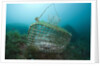 Fish trap over a Coral Reef, Cap de Creus, Costa Brava, Spain by Anonymous