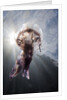 Mauve Stinger Jellyfish (Pelagia noctiluca), Cap de Creus, Costa Brava, Spain by Anonymous