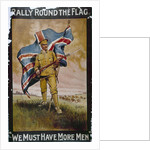 Rally Round the Flag poster by Anonymous