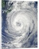Satellite View of Tropical Storm Talas (15W) approaching Japan by Anonymous