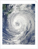Satellite View of Tropical Storm Talas (15W) approaching Japan by Anonymous