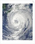 Satellite View of Tropical Storm Talas (15W) approaching Japan by Anonymous
