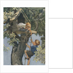 The House in the Chestnut Tree by Anonymous