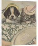 Puppy and kitten in hat box wearing hat by Anonymous