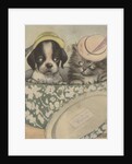 Puppy and kitten in hat box wearing hat by Anonymous