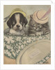 Puppy and kitten in hat box wearing hat by Anonymous