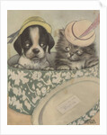 Puppy and kitten in hat box wearing hat by Anonymous