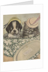 Puppy and kitten in hat box wearing hat by Anonymous