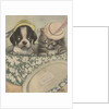 Puppy and kitten in hat box wearing hat by Anonymous