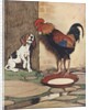 Dog and rooster conversing by Anonymous
