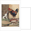 Dog and rooster conversing by Anonymous