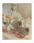 Four kittens on a toboggan by Anonymous