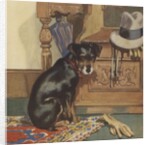 Dog waiting to go for walk by Anonymous