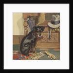 Dog waiting to go for walk by Anonymous