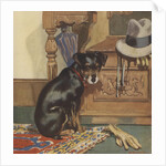 Dog waiting to go for walk by Anonymous