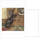 Dog waiting to go for walk by Anonymous