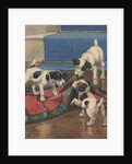 Dogs playing with rug by Anonymous