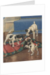 Dogs playing with rug by Anonymous