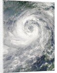 Typhoon Nesat by Anonymous