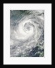 Typhoon Nesat by Anonymous
