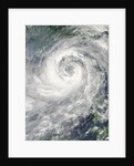 Typhoon Nesat by Anonymous