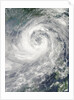 Typhoon Nesat by Anonymous