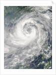 Typhoon Nesat by Anonymous