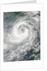 Typhoon Nesat by Anonymous