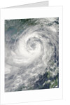 Typhoon Nesat by Anonymous