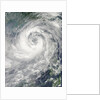 Typhoon Nesat by Anonymous