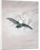 Owl Flying against a Moonlit Sky by Caspar David Friedrich