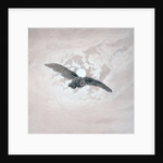 Owl Flying against a Moonlit Sky by Caspar David Friedrich
