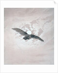 Owl Flying against a Moonlit Sky by Caspar David Friedrich