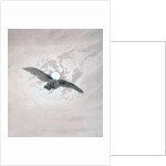 Owl Flying against a Moonlit Sky by Caspar David Friedrich