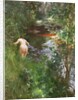 In Gopsmor (Nude by a Stream) by Anders Zorn
