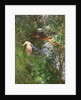 In Gopsmor (Nude by a Stream) by Anders Zorn