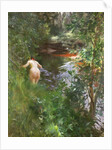 In Gopsmor (Nude by a Stream) by Anders Zorn