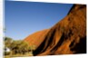 Ayers Rock, Uluru-Kata Tjuta National Park, Australia by Anonymous