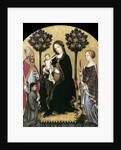 Virgin and Child Enthroned with Two Saints and a Donor by Gentile da Fabriano