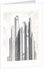 Skyscrapers looming over an American city by Anonymous