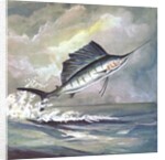 Leaping sailfish by Anonymous