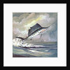 Leaping sailfish by Anonymous