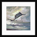 Leaping sailfish by Anonymous