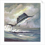 Leaping sailfish by Anonymous