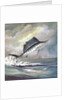 Leaping sailfish by Anonymous