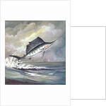 Leaping sailfish by Anonymous