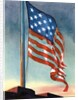 American flag flying over Fort McHenry by Anonymous