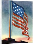 American flag flying over Fort McHenry by Anonymous