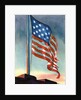 American flag flying over Fort McHenry by Anonymous